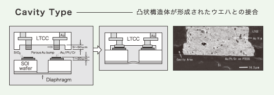 Cavity Type