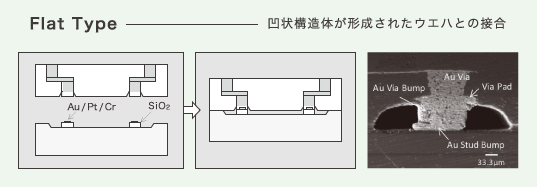 Flat Type